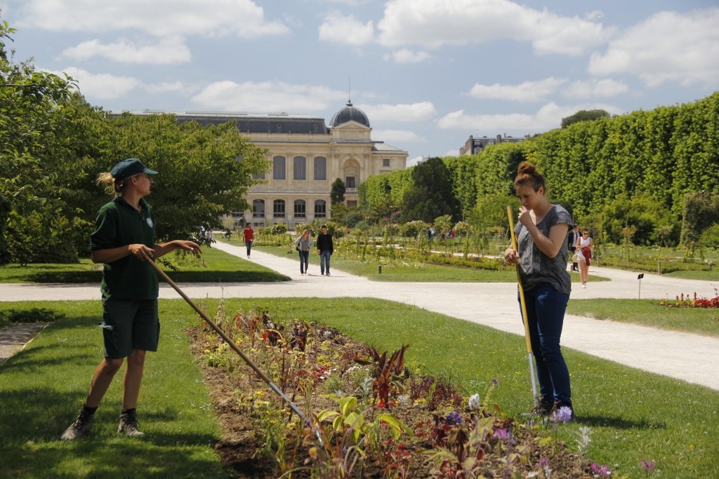 Tendering to the Jardins des Plantes.