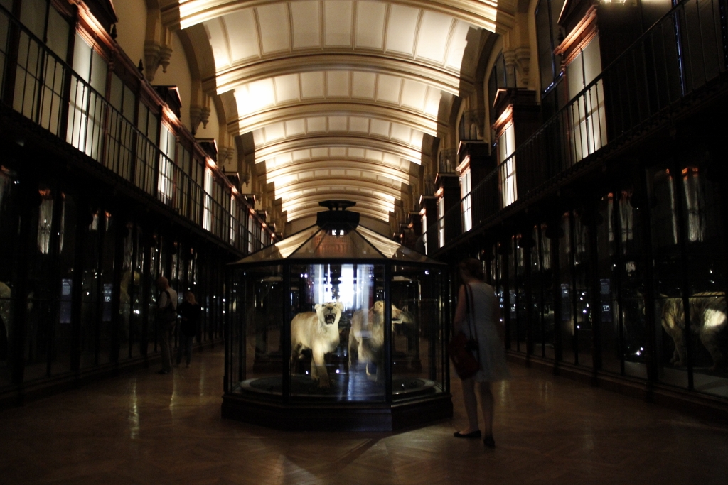 The gallery of endangered and extinct species.