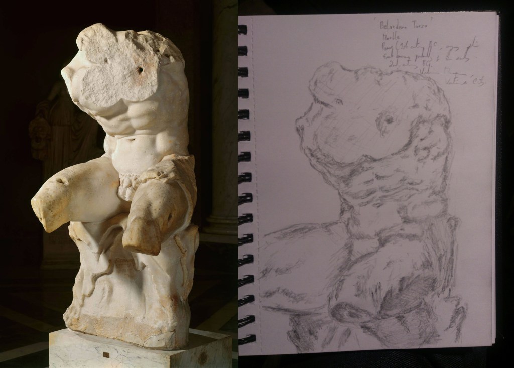 Belvedere Torso sketch
