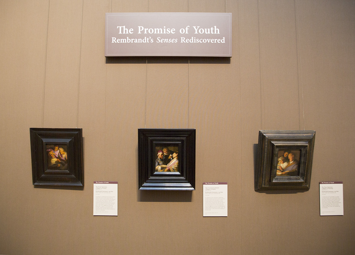 rembrandt_senses_install_tb0011533-1