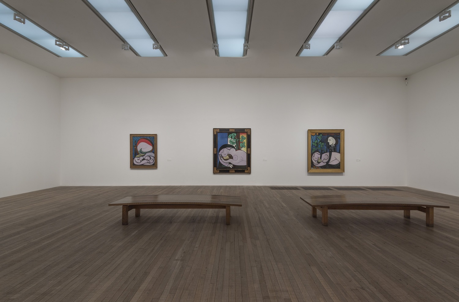 Picasso1932_Install_0055