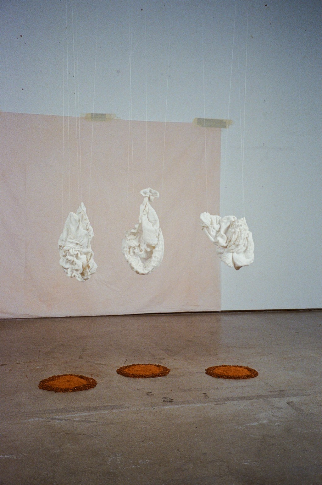 ARTIST IN FOCUS | Emily&nbsp;Trenton